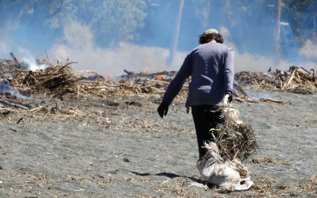 Cleaning up Mirtos Beach